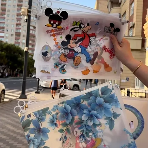 Rebus Mickey folder