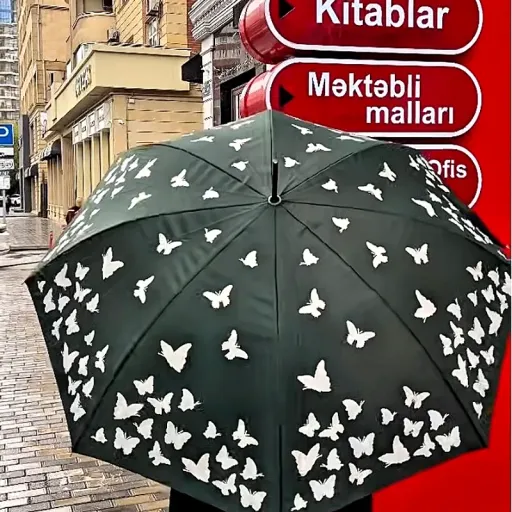 Rebus Butterfly umbrella